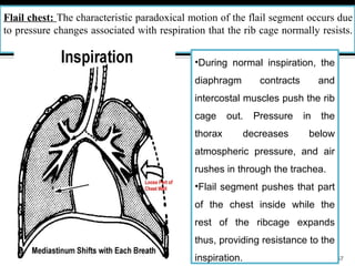 Thoracic and rib cage anatomy, biomechanics, and pathomechanics | PDF