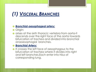 (1) VISCERAL BRANCHES
 Bronchial-oesophageal artery:
 Origin:
 arises at the sixth thoracic vertebra from aorta-it
descends over the right face of the aorta towards
bifurcation of trachea and divided into bronchial
anaoesophagial branches.
 Bronchial Artery:
 It crosses the left face of oesophagous to the
bifurcation of trachea where it divides into right
and left branches.Each enter into hilus of
corresponding lung.
 