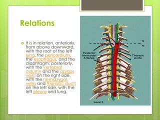 Relations
 It is in relation, anteriorly,
from above downward,
with the root of the left
lung, the pericardium,
the esophagus, and the
diaphragm; posteriorly,
with the vertebral
column and the azygos
vein; on the right side,
with the hemiazygos
veins and thoracic duct;
on the left side, with the
left pleura and lung.
 Thoracic aorta
 