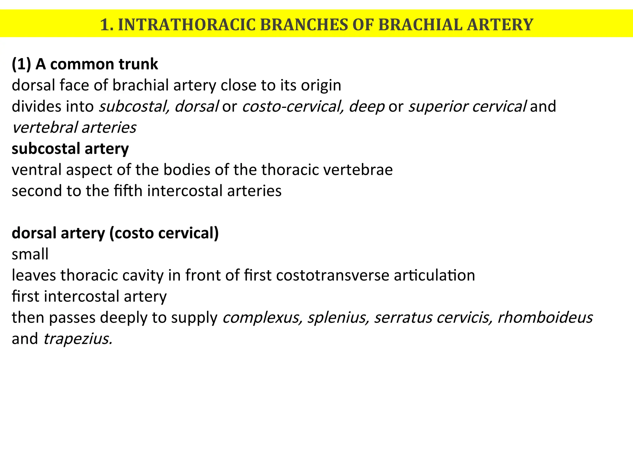 1. INTRATHORACIC BRANCHES OF BRACHIAL ARTERY
(1) A common trunk
dorsal face of brachial artery close to its origin
divides into subcostal, dorsal or costo-cervical, deep or superior cervical and
vertebral arteries
subcostal artery
ventral aspect of the bodies of the thoracic vertebrae
second to the fifth intercostal arteries
dorsal artery (costo cervical)
small
leaves thoracic cavity in front of first costotransverse articulation
first intercostal artery
then passes deeply to supply complexus, splenius, serratus cervicis, rhomboideus
and trapezius.
 