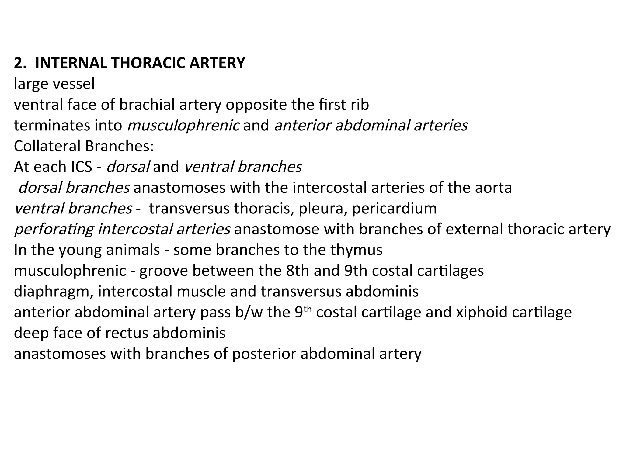 2. INTERNAL THORACIC ARTERY
large vessel
ventral face of brachial artery opposite the first rib
terminates into musculophrenic and anterior abdominal arteries
Collateral Branches:
At each ICS - dorsal and ventral branches
dorsal branches anastomoses with the intercostal arteries of the aorta
ventral branches - transversus thoracis, pleura, pericardium
perforating intercostal arteries anastomose with branches of external thoracic artery
In the young animals - some branches to the thymus
musculophrenic - groove between the 8th and 9th costal cartilages
diaphragm, intercostal muscle and transversus abdominis
anterior abdominal artery pass b/w the 9th
costal cartilage and xiphoid cartilage
deep face of rectus abdominis
anastomoses with branches of posterior abdominal artery
 