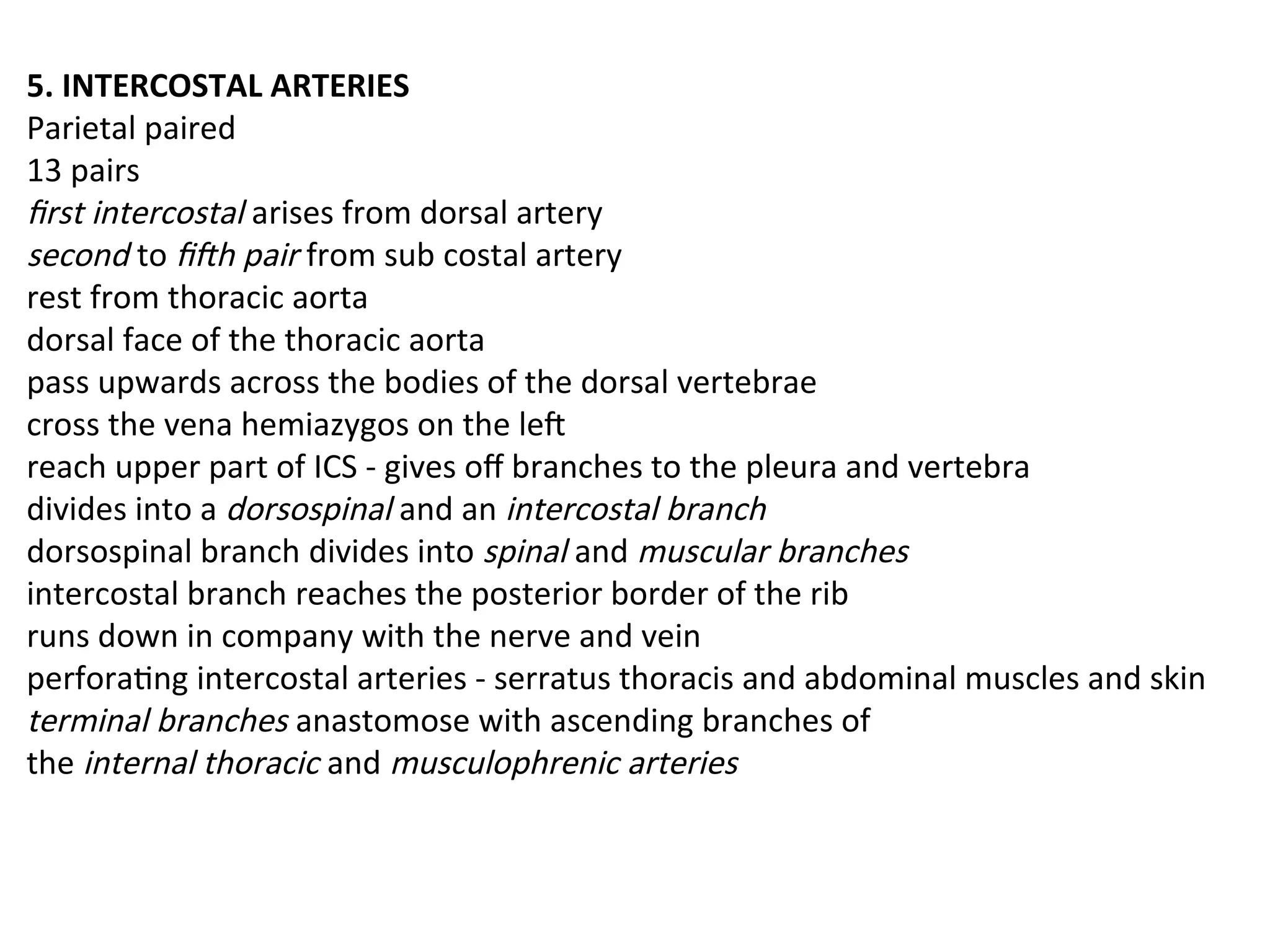 5. INTERCOSTAL ARTERIES
Parietal paired
13 pairs
first intercostal arises from dorsal artery
second to fifth pair from sub costal artery
rest from thoracic aorta
dorsal face of the thoracic aorta
pass upwards across the bodies of the dorsal vertebrae
cross the vena hemiazygos on the left
reach upper part of ICS - gives off branches to the pleura and vertebra
divides into a dorsospinal and an intercostal branch
dorsospinal branch divides into spinal and muscular branches
intercostal branch reaches the posterior border of the rib
runs down in company with the nerve and vein
perforating intercostal arteries - serratus thoracis and abdominal muscles and skin
terminal branches anastomose with ascending branches of
the internal thoracic and musculophrenic arteries
 