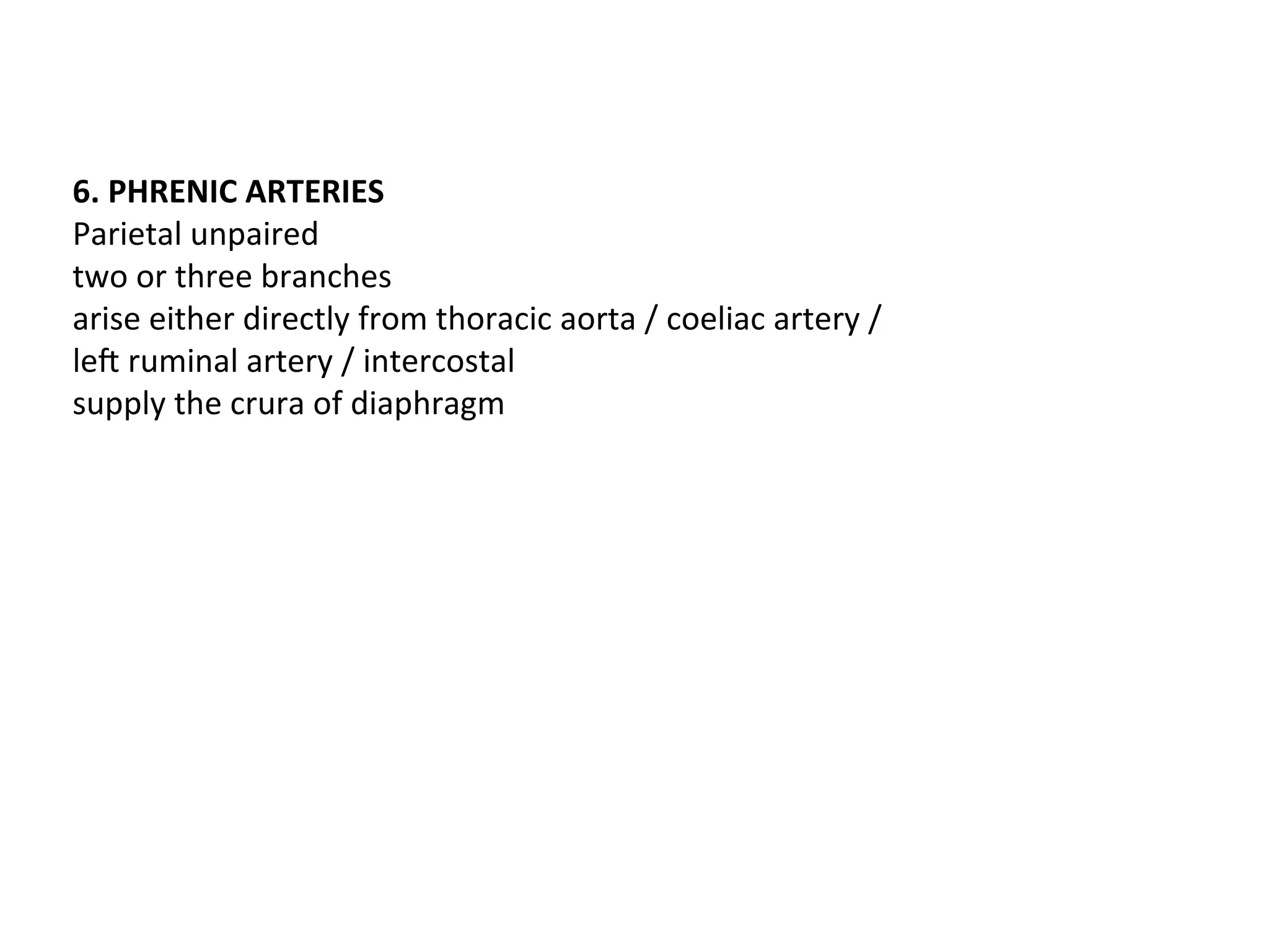 6. PHRENIC ARTERIES
Parietal unpaired
two or three branches
arise either directly from thoracic aorta / coeliac artery /
left ruminal artery / intercostal
supply the crura of diaphragm
 