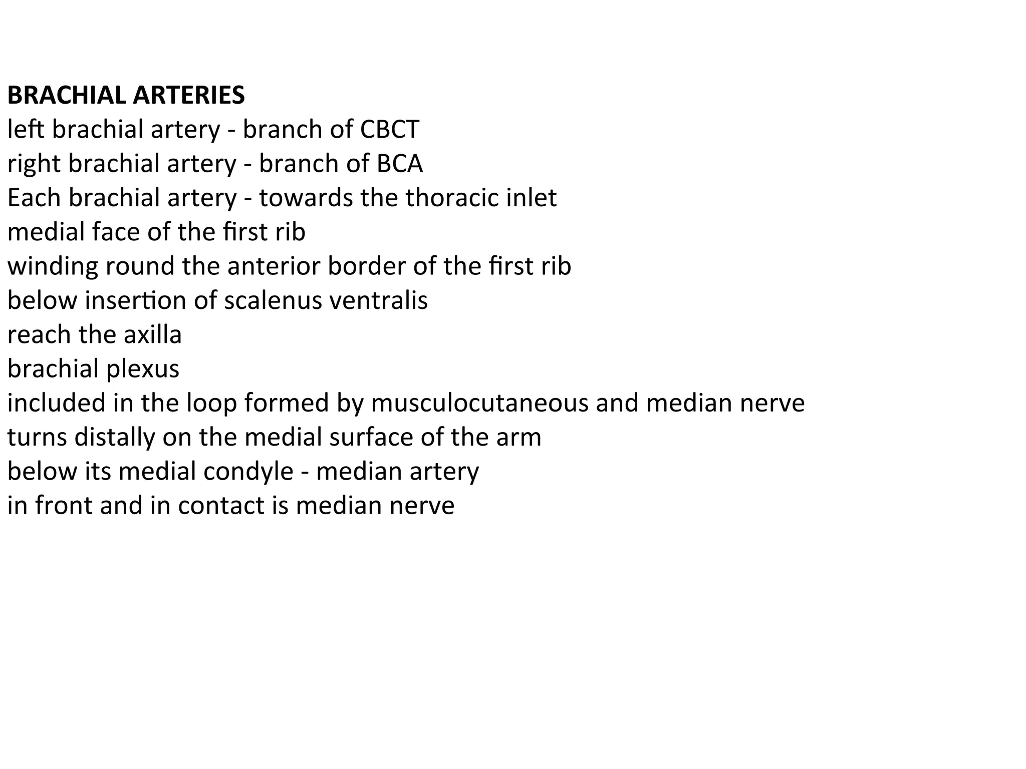 BRACHIAL ARTERIES
left brachial artery - branch of CBCT
right brachial artery - branch of BCA
Each brachial artery - towards the thoracic inlet
medial face of the first rib
winding round the anterior border of the first rib
below insertion of scalenus ventralis
reach the axilla
brachial plexus
included in the loop formed by musculocutaneous and median nerve
turns distally on the medial surface of the arm
below its medial condyle - median artery
in front and in contact is median nerve
 