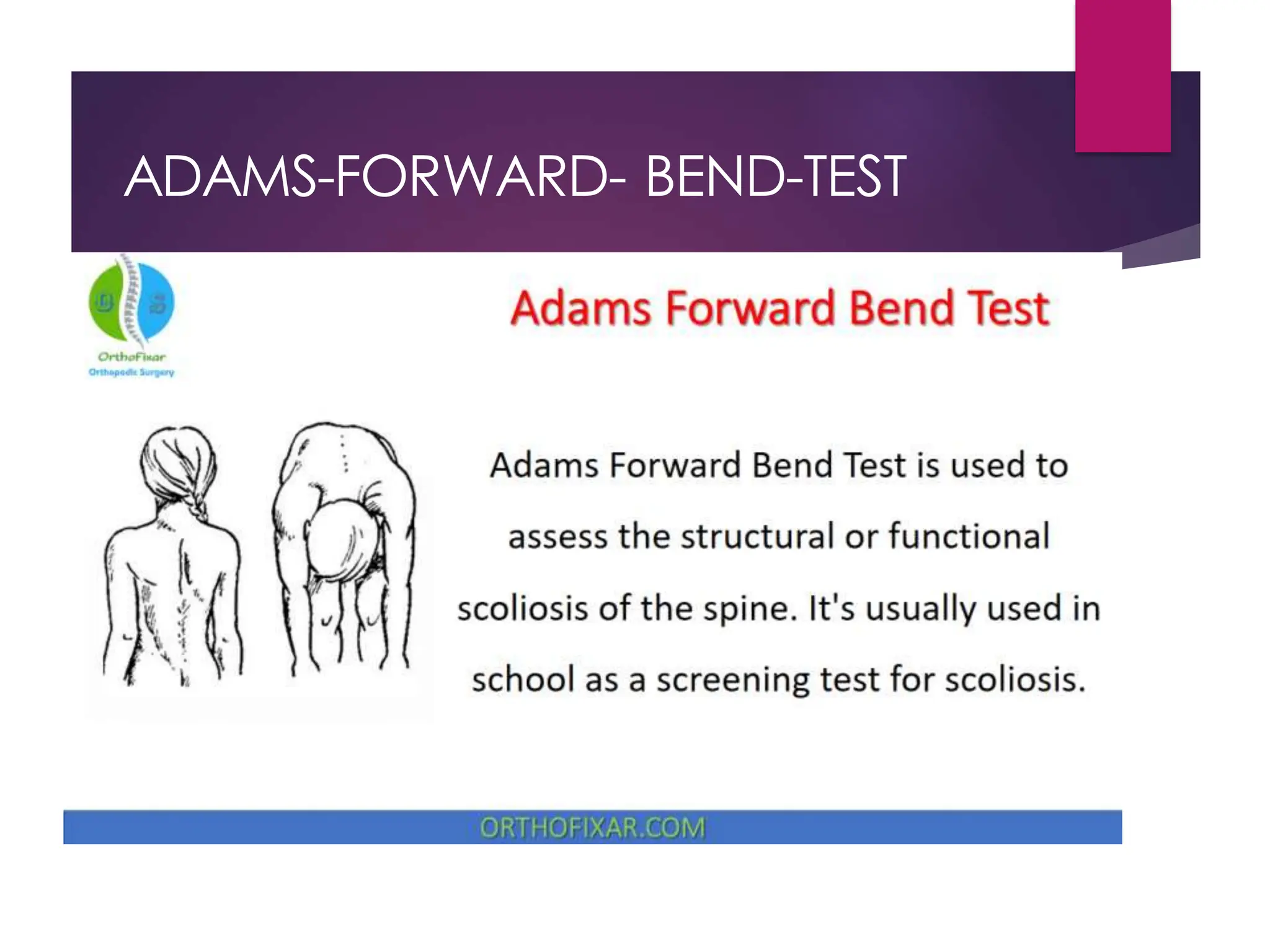 ADAMS-FORWARD- BEND-TEST
 
