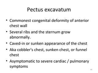 Thoracic cage | PPT