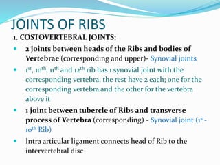 JOINTS OF RIBS
1. COSTOVERTEBRAL JOINTS:
 2 joints between heads of the Ribs and bodies of
Vertebrae (corresponding and upper)- Synovial joints
 1st, 10th, 11th and 12th rib has 1 synovial joint with the
corresponding vertebra, the rest have 2 each; one for the
corresponding vertebra and the other for the vertebra
above it
 1 joint between tubercle of Ribs and transverse
process of Vertebra (corresponding) - Synovial joint (1st-
10th Rib)
 Intra articular ligament connects head of Rib to the
intervertebral disc
 