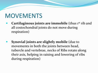 MOVEMENTS
 Cartilaginous joints are immobile (thus 1st rib and
all costochondral joints do not move during
respiration)
 Synovial joints are slightly mobile (due to
movements in both the joints between head,
tubercle and vertebrae, necks of Ribs rotate along
their axis, helping in raising and lowering of ribs
during respiration)
 