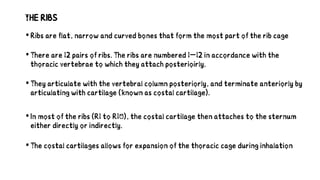 R1 Rib The Thoracic Cage by Prof. A. U. Ekanem.pdf