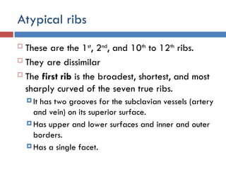 The Thoracic cage bonny composition in huma | PPT
