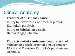 Clinical Anatomy
• Fracture of 1st
rib may cause:
• Injury to lower trunk of Brachial plexus:
Klumpke’s paralysis
• Injury to Subclavian vessels:
Hemorrhage/Ischemia
• Thoracic outlet syndrome: Compression of
Subclavian vessels/Brachial plexus between
1st
Rib and Clavicle – Klumpke’s paralysis and
ischemia.
 