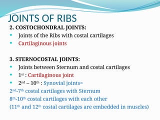 JOINTS OF RIBS
2. COSTOCHONDRAL JOINTS:
 Joints of the Ribs with costal cartilages
 Cartilaginous joints
3. STERNOCOSTAL JOINTS:
 Joints between Sternum and costal cartilages
 1st
: Cartilaginous joint
 2nd
– 10th
: Synovial joints=
2nd
-7th
costal cartilages with Sternum
8th
-10th
costal cartilages with each other
(11th
and 12th
costal cartilages are embedded in muscles)
 
