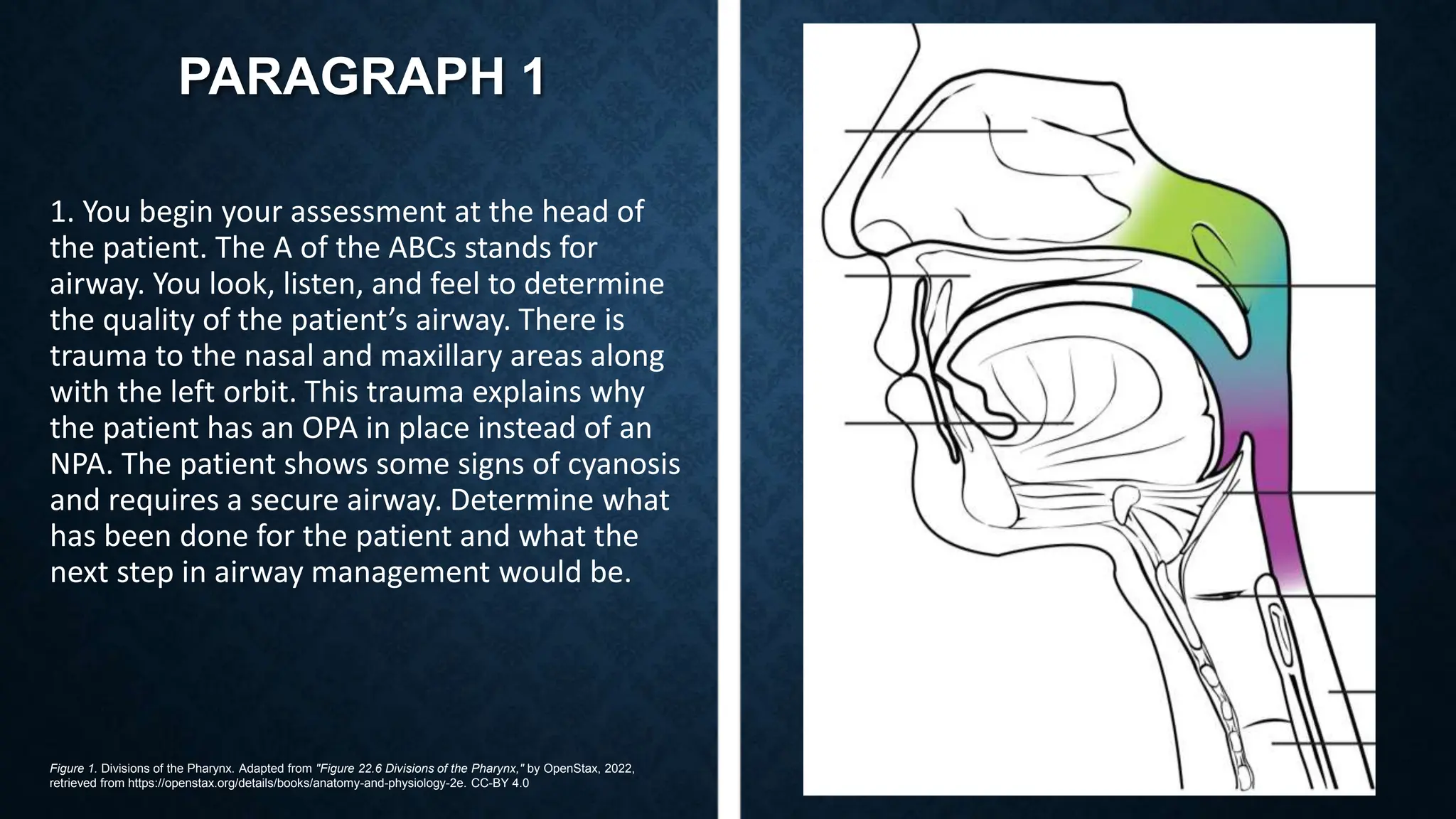 Abc Pagraph Method Thoracic Cavity Case Study 1 lesson slides v2.pptx
