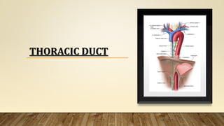 THORACIC DUCT
 