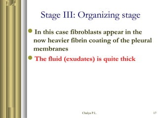 Chalya P.L. 17
Stage III: Organizing stage
In this case fibroblasts appear in the
now heavier fibrin coating of the pleural
membranes
The fluid (exudates) is quite thick
 