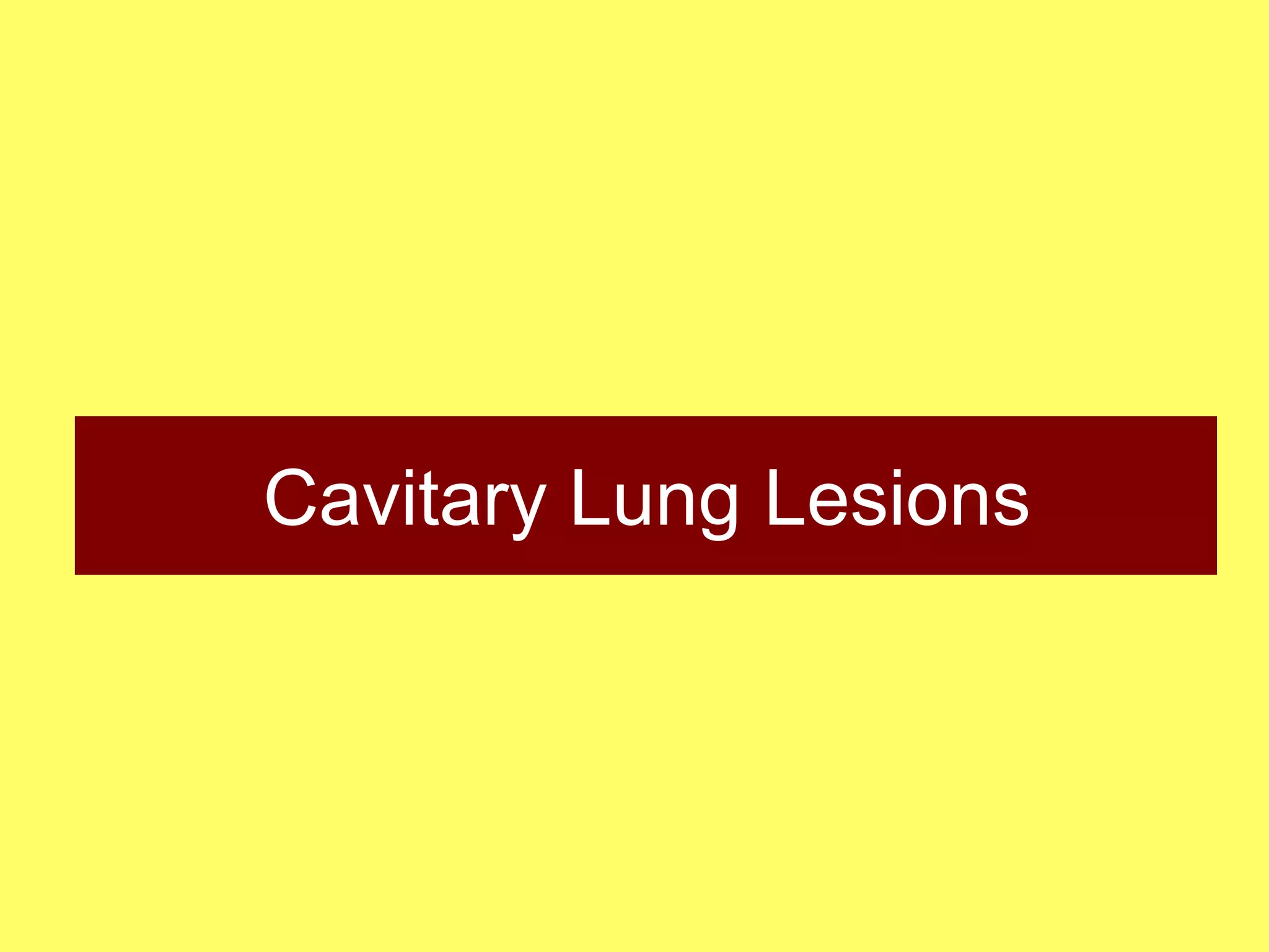 Cavitary Lung Lesions

 