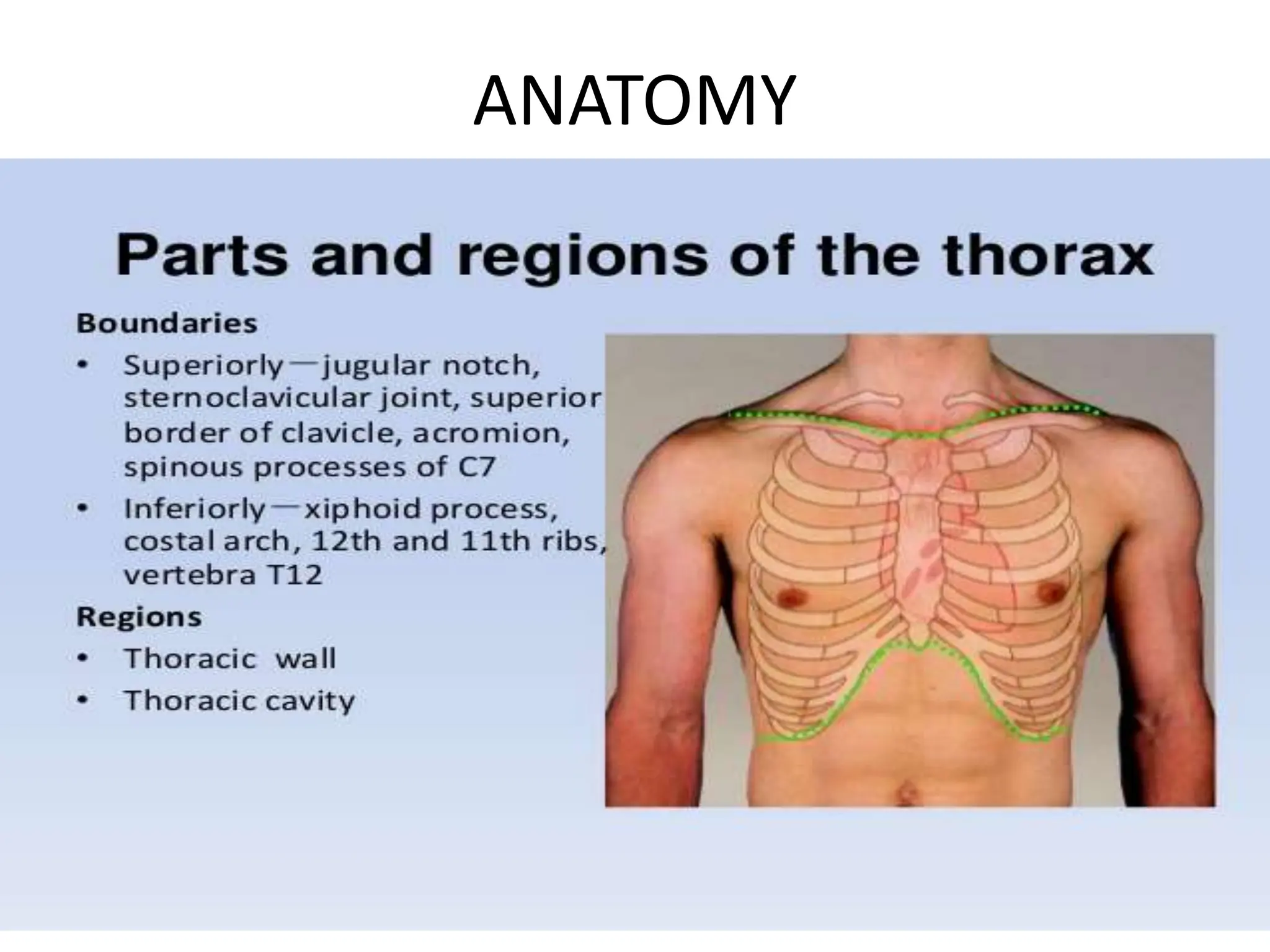 THORACIC INCISIONS a powerpoint for general surgeons | PPTX