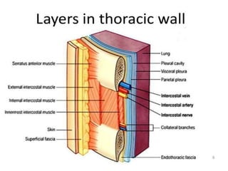 THORACIC INCISIONS a powerpoint for general surgeons | PPTX