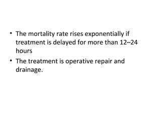 • The mortality rate rises exponentially if
treatment is delayed for more than 12–24
hours
• The treatment is operative repair and
drainage.

 