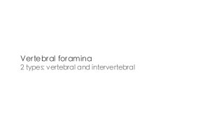 2 types: vertebral and intervertebral
Vertebral foramina
 