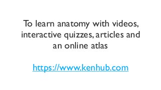To learn anatomy with videos,
interactive quizzes, articles and
an online atlas	

!
https://www.kenhub.com
 