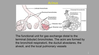 Thoracic Oncology Imaging Dr. Bosibori.pptx