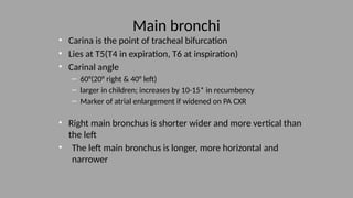 Thoracic Oncology Imaging Dr. Bosibori.pptx