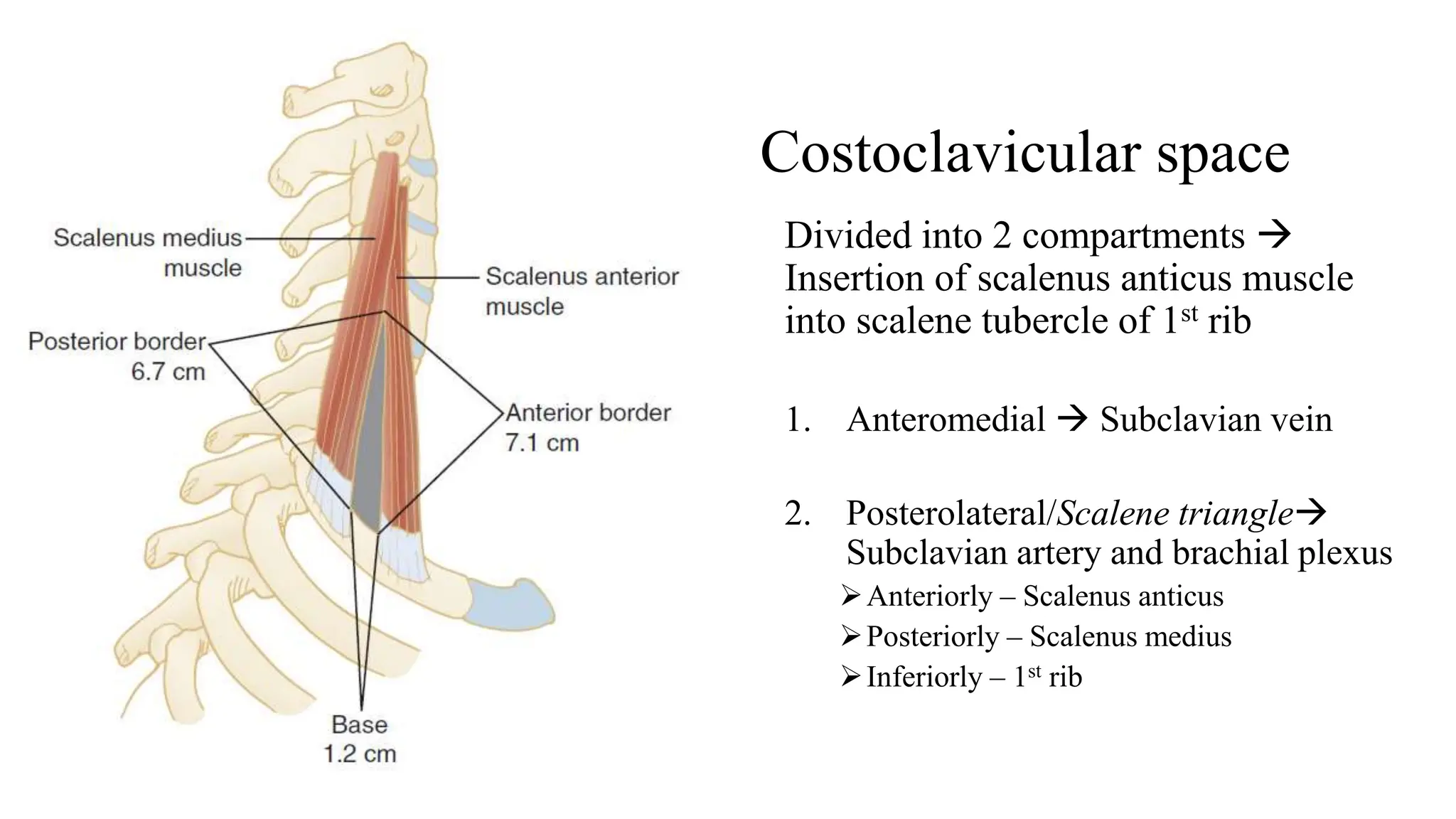 Thoracic outlet syndrome-1.pptx