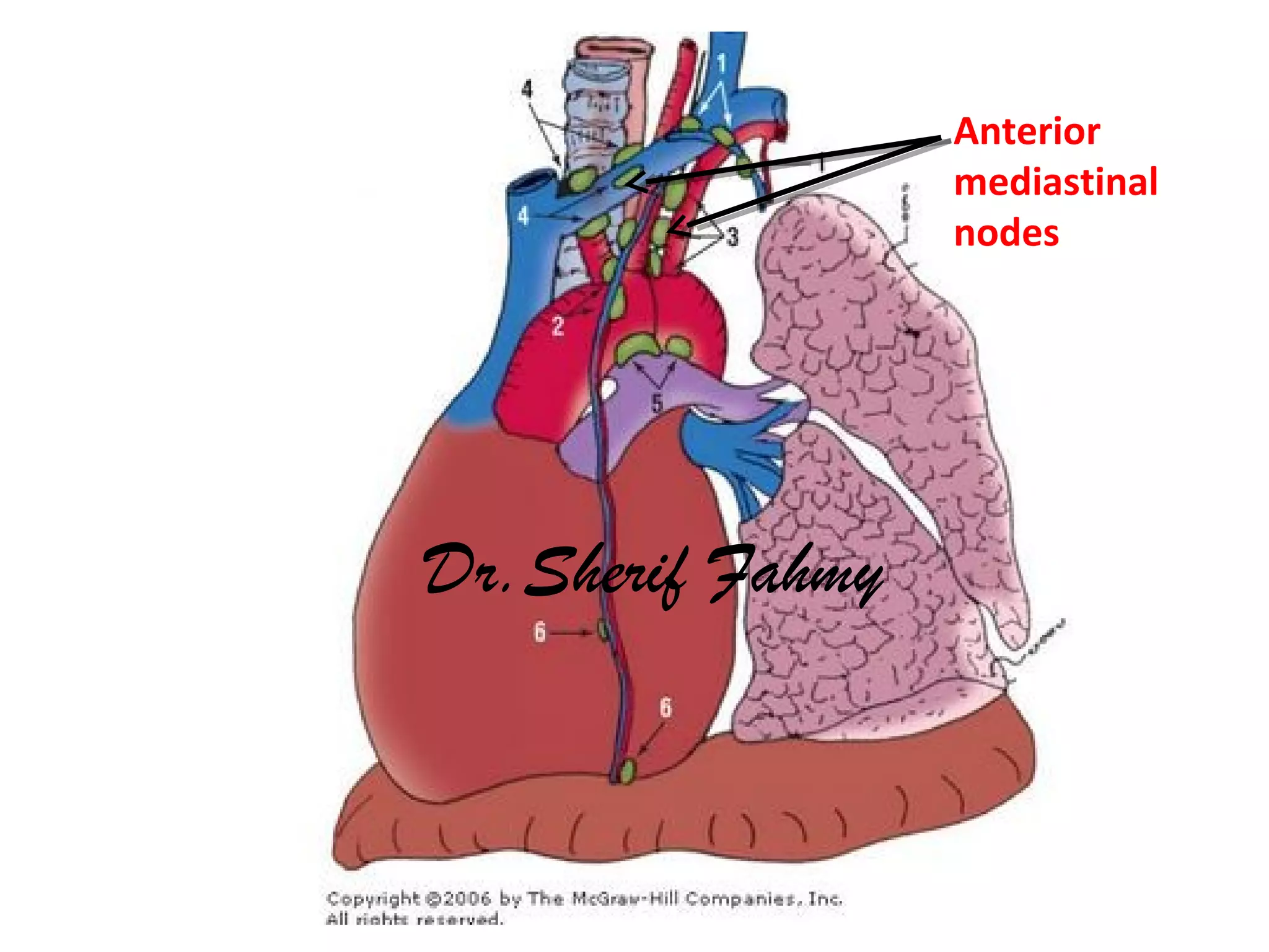Anterior
mediastinal
nodes
Dr.Sherif Fahmy
 