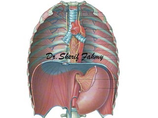 Truncus Sympathicus Toraks Thoracic part of Sympathetic Chain (Anatomy of the Thorax) | PPS