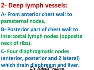 2- Deep lymph vessels:
A- From anterior chest wall to
parasternal nodes.
B- Posterior part of chest wall to
intercostal ly...