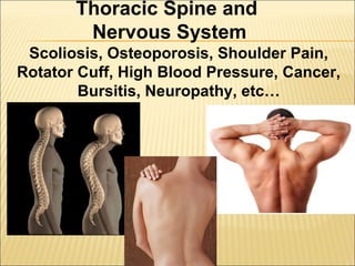 Thoracic Spine and
Nervous System
Scoliosis, Osteoporosis, Shoulder Pain,
Rotator Cuff, High Blood Pressure, Cancer,
Bursitis, Neuropathy, etc…
 