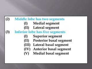 Segment Inferior Thoracic surgery presentation and it's types | PPTX