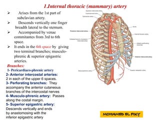 Ø Arises from the 1st part of
subclavian artery.
Ø Descends vertically one finger
breadth lateral to the sternum.
Ø Accompanied by venae
commitantes from 3rd to 6th
space.
Ø It ends in the 6th space by giving
two terminal branches; musculo-
phrenic & superior epigastric
arteries.
Branches:
1- Pericardiaco-phrenic artery
2- Anterior intercostal arteries:
2 in each of the upper 6 spaces.
3- Perforating branches: They
accompany the anterior cutaneous
branches of the intercostal nerves
4- Musculo-phrenic artery: Passes
along the costal margin.
5- Superior epigastric artery:
Descends vertically and ends
by anastomosing with the
inferior epigastric artery
1.Internal thoracic (mammary) artery
 