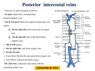 Posterior intercostal veins
- There are 11 pairs arranged as follows:
- 1st space drains into corresponding
brachio-cephalic vein.
- 2nd & 3rd spaces drain into superior intercostal vein
which:
q On the right side ends in the arch of azygos
vein.
q On the left side ends in the left brachio-
cephalic vein.
•- 4th to 11th spaces.
•- On the right side: end in the azygos vein.
•- On the left side:
o From 4th to 8th join the accessory hemi-azygos vein.
o From 9th to 11th join the hemi-azygos.
-The 12th vein ( subcostal vein) unites with the
ascending lumbar vein.
 
