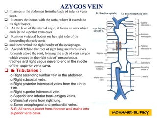 AZYGOS VEIN
q It arises in the abdomen from the back of inferior vena
cava.
q It enters the thorax with the aorta, where it ascends to
its right border.
q At the level of the sternal angle, it forms an arch which
ends in the superior vena cava.
q Runs on vertebral bodies on the right side of the
descending thoracic aorta
q and then behind the right border of the oesophagus.
q Ascends behind the root of right lung and then curves
forwards above the root, forming the arch of vena azygos
which crosses on the right side of oesophagus,
trachea and right vagus nerve to end in the middle
of the superior vena cava.
q · Tributaries :
o Right ascending lumbar vein in the abdomen.
o Right subcostal vein.
o Right posterior intercostal veins from the 4th to
11th.
o Right superior intercostal vein.
o Superior and inferior hemi-azygos veins.
o Bronchial veins from right lung.
o Some oesophageal and pericardial veins.
N.B. All venous blood from thoracic wall drains into
superior vena cava.
 