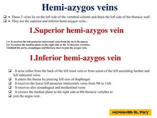 Hemi-azygos veins
q • These 2 veins lie on the left side of the vertebral column and drain the left side of the thoracic wall.
q • They are the superior and inferior hemi-azygos veins :
1.• It receives the left posterior intercostal veins from the 4th to 8th spaces.
2.• It crosses the median plane to the right side at the 7th thoracic vertebra
3.behind the aorta, oesophagus and thoracic duct to join the azygos vein.
1.Superior hemi-azygos vein
1.Inferior hemi-azygos vein
q It arise either from the back of the left renal vein or from union of the left ascending lumber and
left subcostal veins
q It enters the thorax by piercing left crus of diaphragm
q It receives the lower left posterior intercostals veins from 9th to 11th
q It receives also oesophageal and mediastinal veins
q It crosses the median plane to the right side at 8th thoracic vertebra to
q join the azgos vein .
 