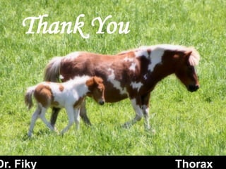 Thank You
Dr. Fiky Thorax
 