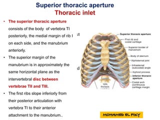 Superior thoracic aperture
Thoracic inlet
• The superior thoracic aperture
consists of the body of vertebra TI
posteriorly, the medial margin of rib I
on each side, and the manubrium
anteriorly.
• The superior margin of the
manubrium is in approximately the
same horizontal plane as the
intervertebral disc between
vertebrae TII and TIII.
• The first ribs slope inferiorly from
their posterior articulation with
vertebra TI to their anterior
attachment to the manubrium..
 