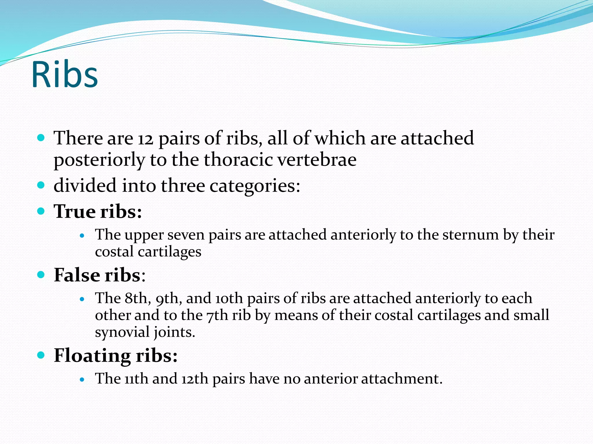 Ribs
 There are 12 pairs of ribs, all of which are attached
posteriorly to the thoracic vertebrae
 divided into three categories:
 True ribs:
 The upper seven pairs are attached anteriorly to the sternum by their
costal cartilages
 False ribs:
 The 8th, 9th, and 10th pairs of ribs are attached anteriorly to each
other and to the 7th rib by means of their costal cartilages and small
synovial joints.
 Floating ribs:
 The 11th and 12th pairs have no anterior attachment.
 