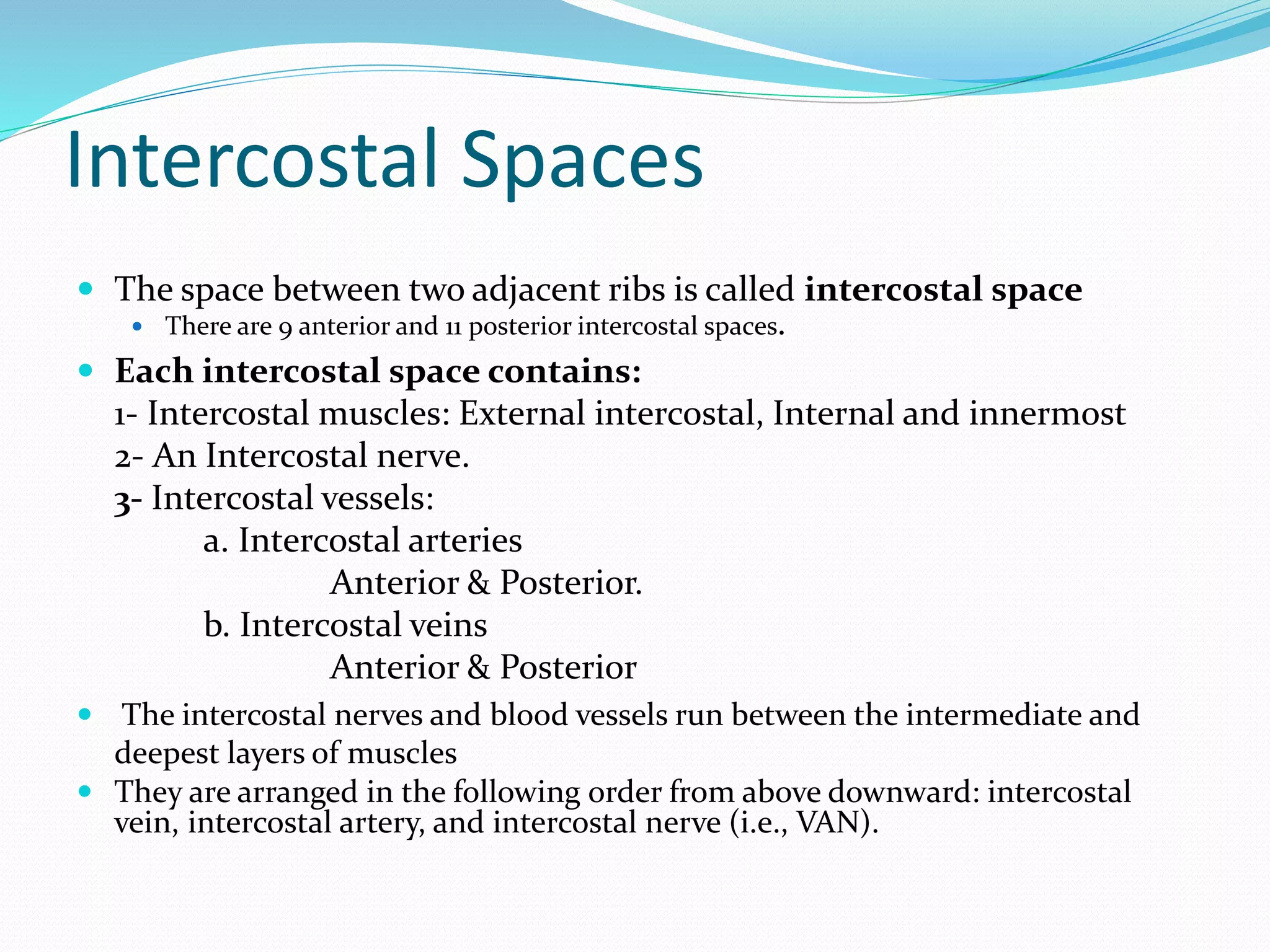 Intercostal Spaces
 The space between two adjacent ribs is called intercostal space
 There are 9 anterior and 11 posterior intercostal spaces.
 Each intercostal space contains:
1- Intercostal muscles: External intercostal, Internal and innermost
2- An Intercostal nerve.
3- Intercostal vessels:
a. Intercostal arteries
Anterior & Posterior.
b. Intercostal veins
Anterior & Posterior
 The intercostal nerves and blood vessels run between the intermediate and
deepest layers of muscles
 They are arranged in the following order from above downward: intercostal
vein, intercostal artery, and intercostal nerve (i.e., VAN).
 