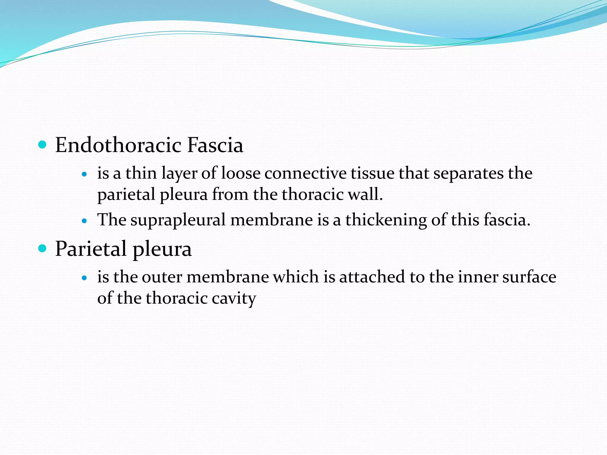  Endothoracic Fascia
 is a thin layer of loose connective tissue that separates the
parietal pleura from the thoracic wall.
 The suprapleural membrane is a thickening of this fascia.
 Parietal pleura
 is the outer membrane which is attached to the inner surface
of the thoracic cavity
 