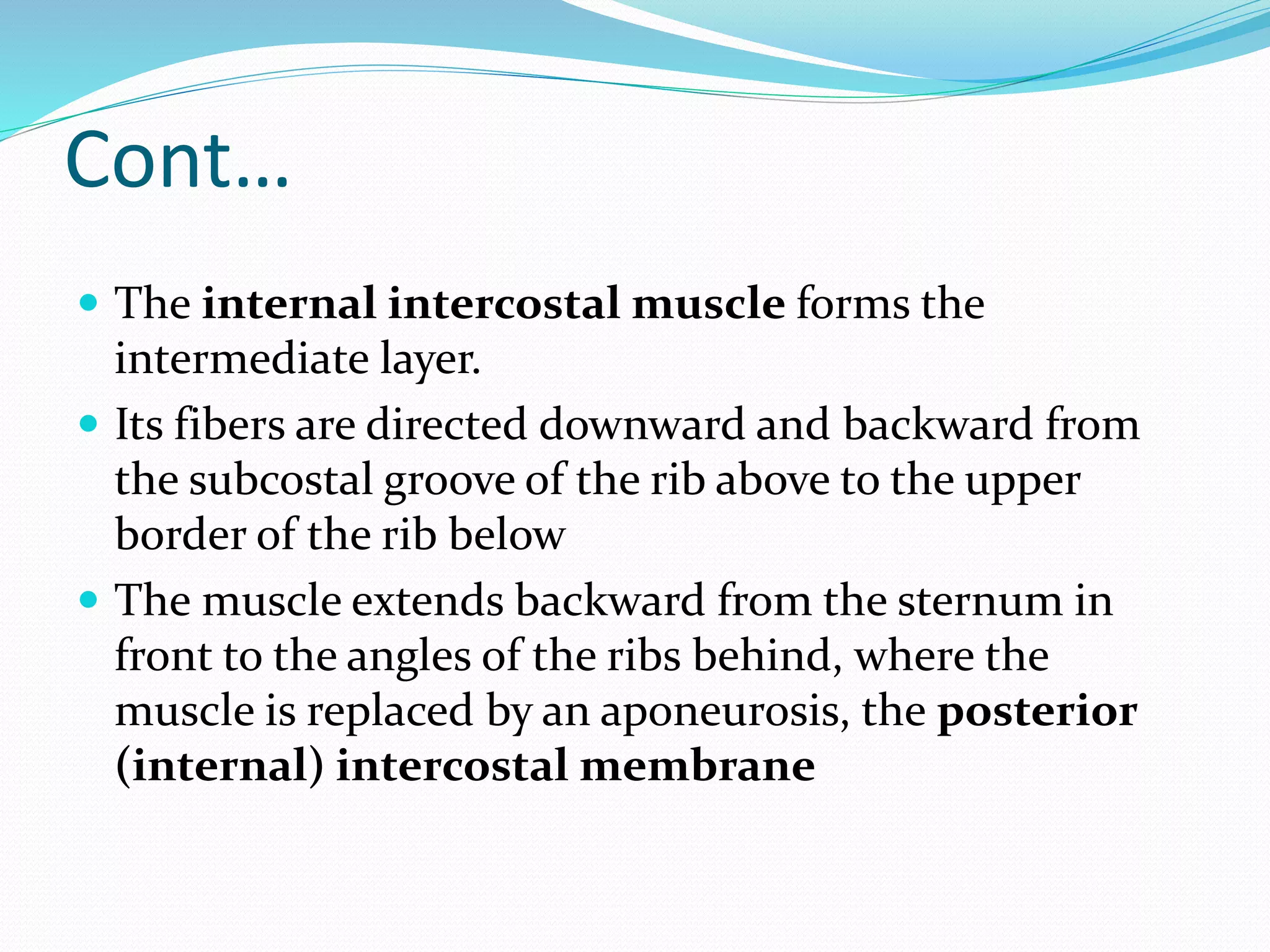 Cont…
 The internal intercostal muscle forms the
intermediate layer.
 Its fibers are directed downward and backward from
the subcostal groove of the rib above to the upper
border of the rib below
 The muscle extends backward from the sternum in
front to the angles of the ribs behind, where the
muscle is replaced by an aponeurosis, the posterior
(internal) intercostal membrane
 