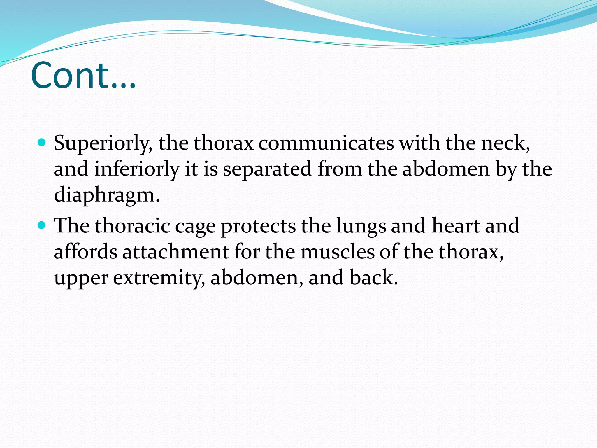 Cont…
 Superiorly, the thorax communicates with the neck,
and inferiorly it is separated from the abdomen by the
diaphragm.
 The thoracic cage protects the lungs and heart and
affords attachment for the muscles of the thorax,
upper extremity, abdomen, and back.
 