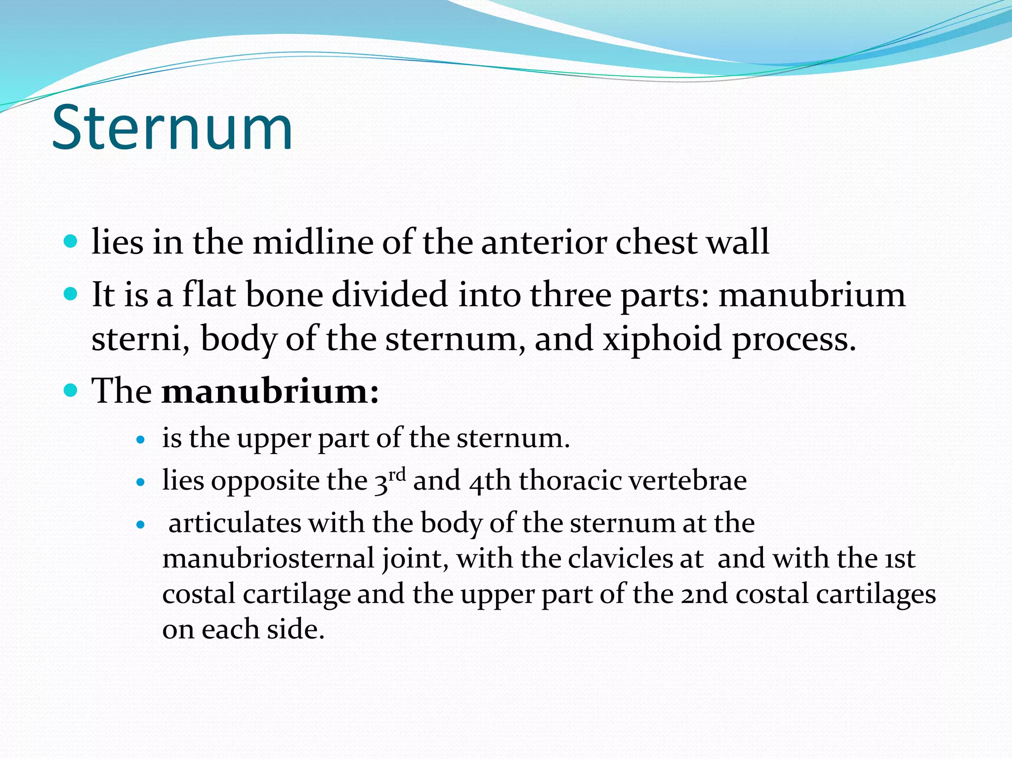 Sternum
 lies in the midline of the anterior chest wall
 It is a flat bone divided into three parts: manubrium
sterni, body of the sternum, and xiphoid process.
 The manubrium:
 is the upper part of the sternum.
 lies opposite the 3rd and 4th thoracic vertebrae
 articulates with the body of the sternum at the
manubriosternal joint, with the clavicles at and with the 1st
costal cartilage and the upper part of the 2nd costal cartilages
on each side.
 