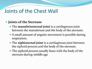 Joints of the Chest Wall
 Joints of the Sternum
 The manubriosternal joint is a cartilaginous joint
between the manubrium and the body of the sternum.
 A small amount of angular movement is possible during
respiration.
 The xiphisternal joint is a cartilaginous joint between
the xiphoid process and the body of the sternum.
 The xiphoid process usually fuses with the body of the
sternum during middle age
 