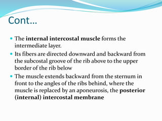 Cont…
 The internal intercostal muscle forms the
intermediate layer.
 Its fibers are directed downward and backward from
the subcostal groove of the rib above to the upper
border of the rib below
 The muscle extends backward from the sternum in
front to the angles of the ribs behind, where the
muscle is replaced by an aponeurosis, the posterior
(internal) intercostal membrane
 