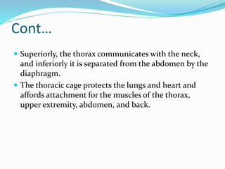Cont…
 Superiorly, the thorax communicates with the neck,
and inferiorly it is separated from the abdomen by the
diaphragm.
 The thoracic cage protects the lungs and heart and
affords attachment for the muscles of the thorax,
upper extremity, abdomen, and back.
 