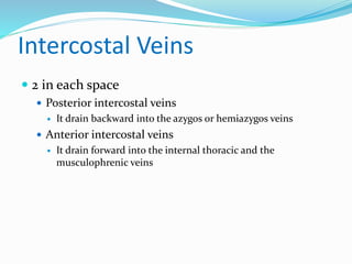 Intercostal Veins
 2 in each space
 Posterior intercostal veins
 It drain backward into the azygos or hemiazygos veins
 Anterior intercostal veins
 It drain forward into the internal thoracic and the
musculophrenic veins
 
