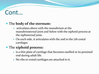 Cont…
 The body of the sternum:
 articulates above with the manubrium at the
manubriosternal joint and below with the xiphoid process at
the xiphisternal joint.
 On each side, it articulates with the 2nd to the 7th costal
cartilages
 The xiphoid process:
 is a thin plate of cartilage that becomes ossified at its proximal
end during adult life.
 No ribs or costal cartilages are attached to it.
 